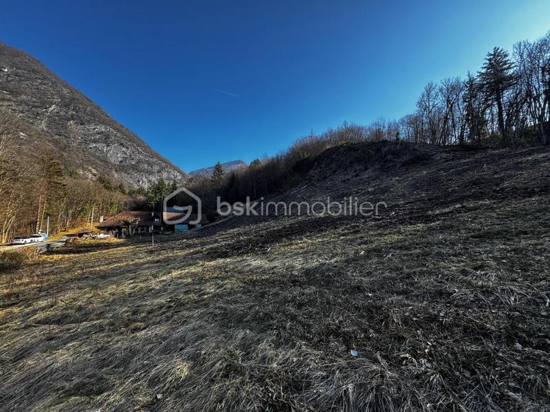 Terrain constructible - 2 444 m²