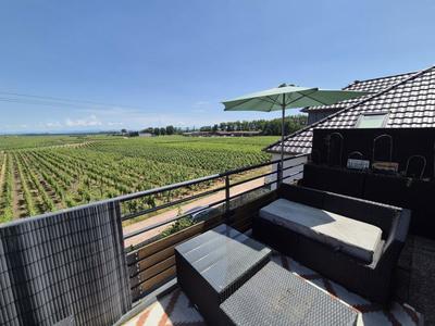 Studio - 38 m² - 1 pièce