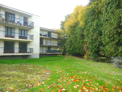 Appartement - 55 m² - 2 pièces