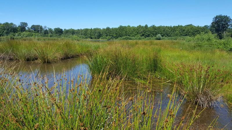 Terrain - 1 030 000 m²