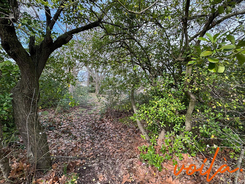 Maison - 132 m² - 3 pièces