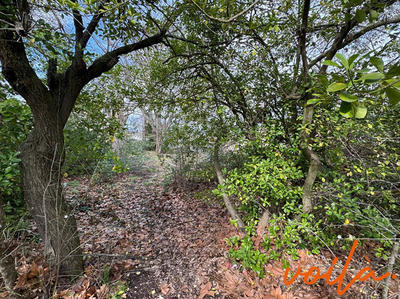 Maison - 132 m² - 3 pièces