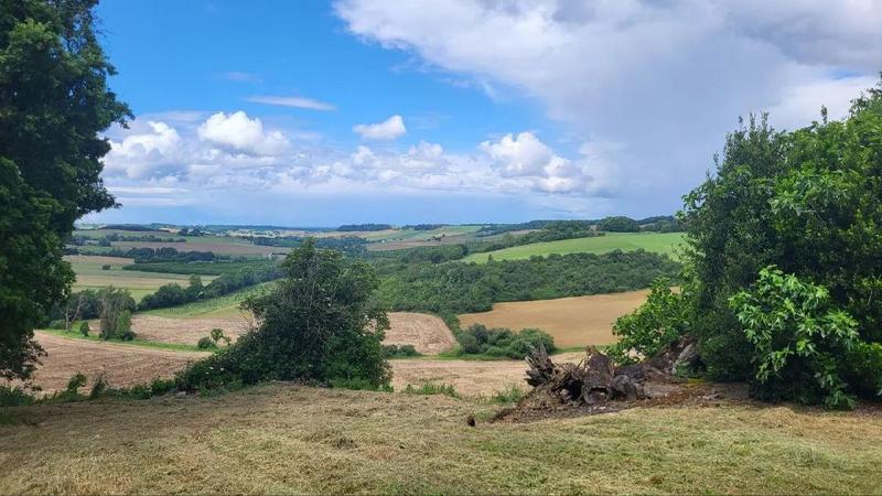 Terrain - 220 000 m²