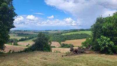 Terrain - 220 000 m²