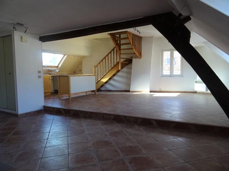 Appartement - 50 m² - 1 pièce