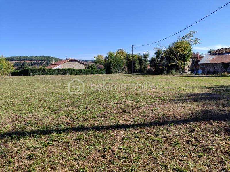 Terrain - 8 000 m²