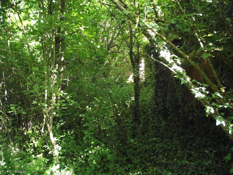 Terrain constructible - 1 271 m²