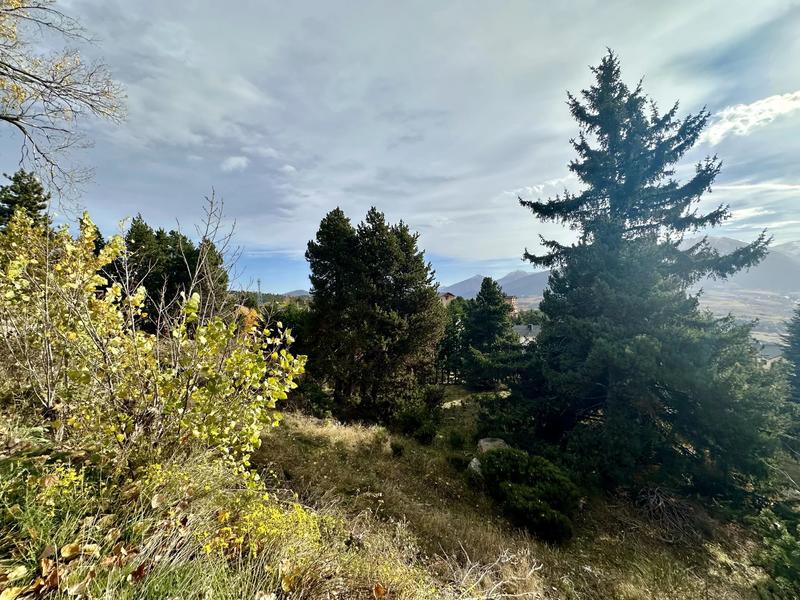 Terrain constructible - 1 572 m²