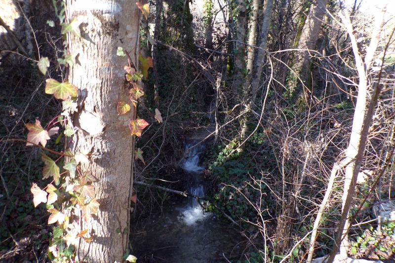 Maison - 167 m² - 6 pièces