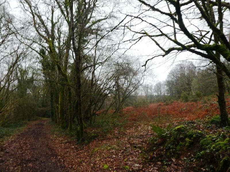 Terrain agricole - 13 922 m²