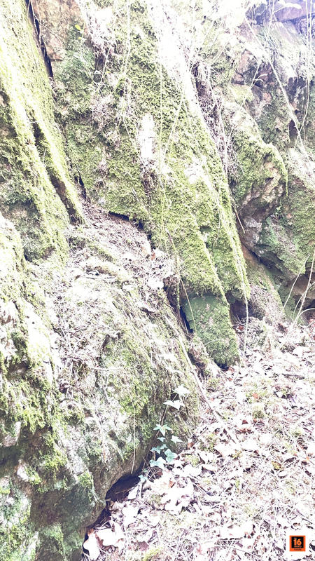 Maison - 102 m² - 4 pièces