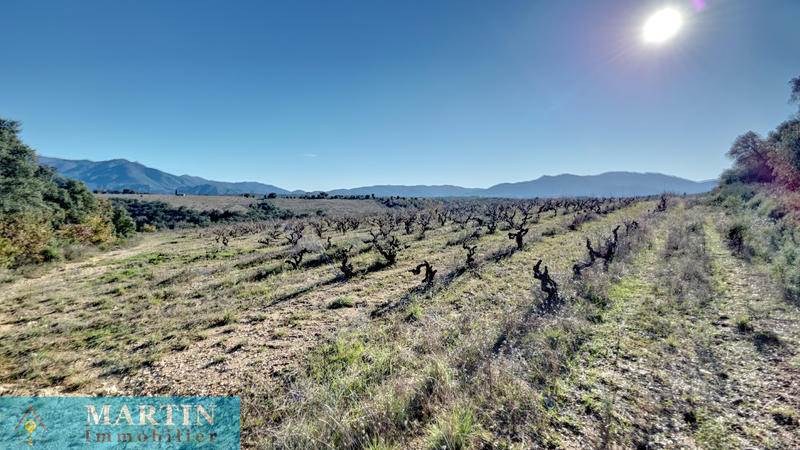 Mas - 58 m² - 3 pièces