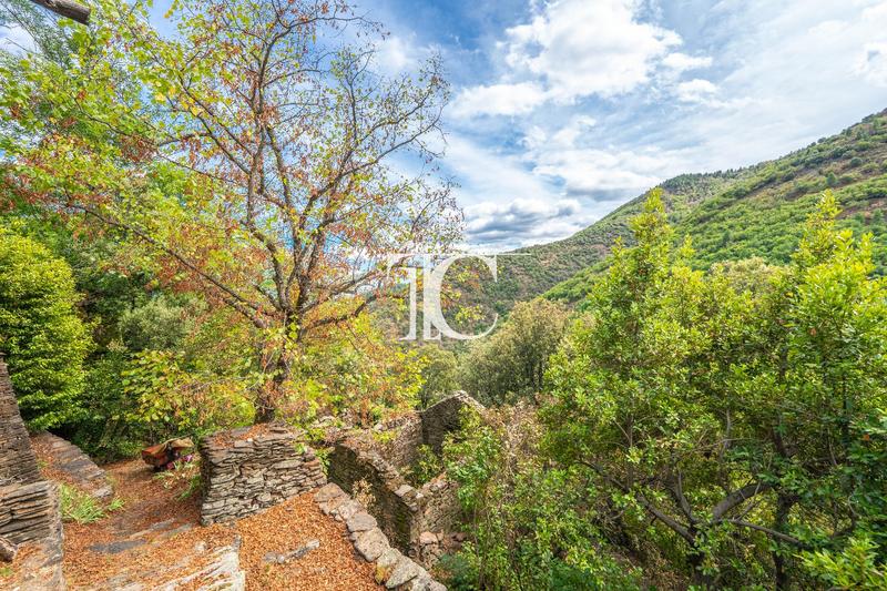 Maison en pierre - 82 m² - 7 pièces