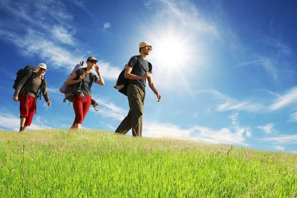 Studio - 26 m² - 1 pièce