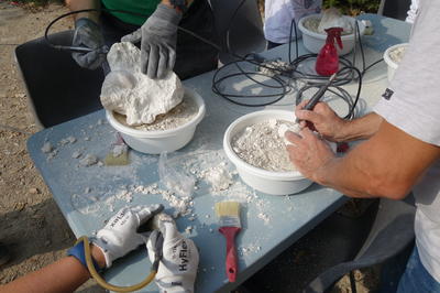 Atelier d'initiation au dégagement de fossiles