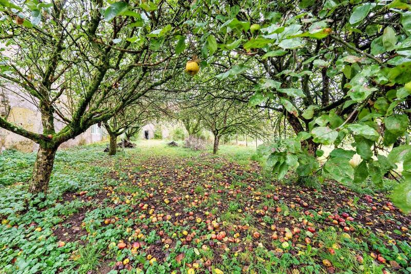 Grange - 250 m² - 1 pièce