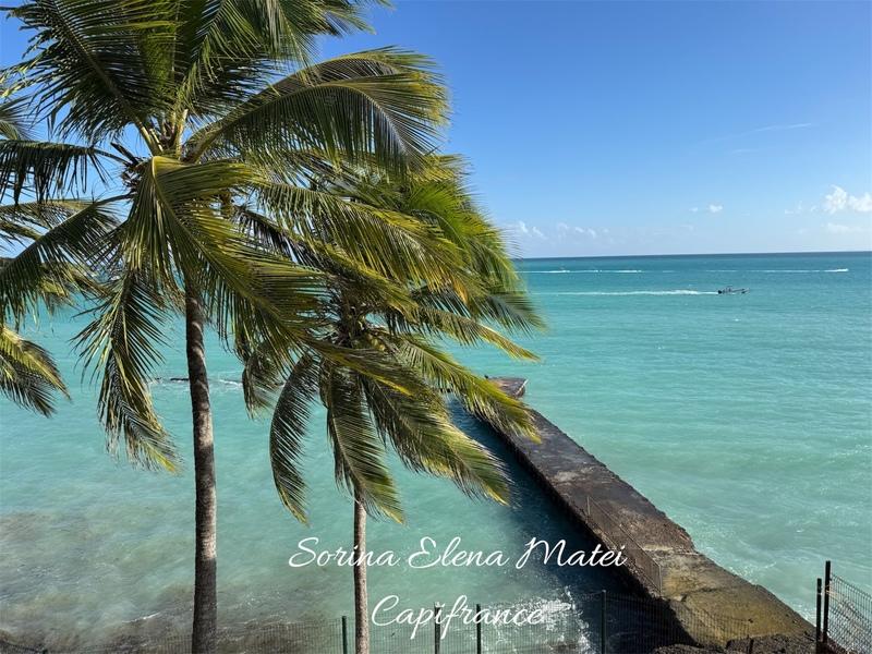 Appartement - 54 m² - 2 pièces