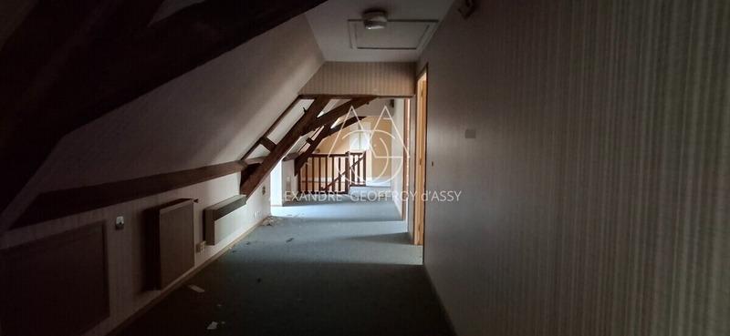 Château - 1 800 m² - 70 pièces