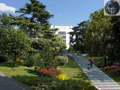 Appartement - 30 m² - 1 pièce