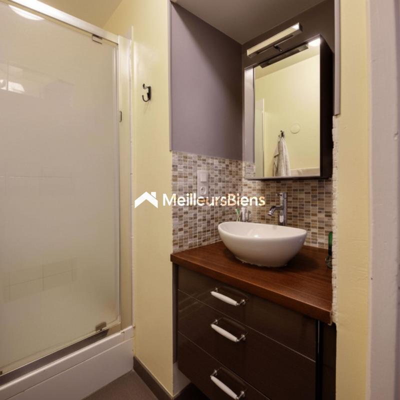 Appartement ancien - 46 m² - 3 pièces