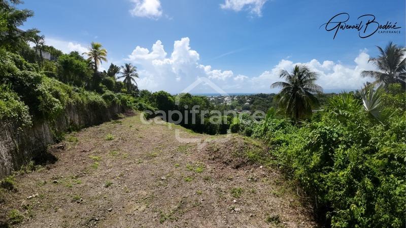 Terrain - 1 501 m²