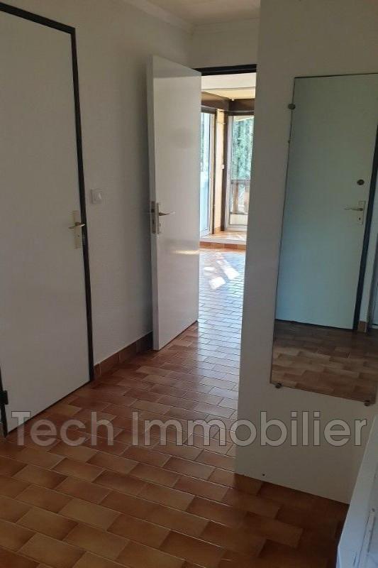 Studio - 24 m² - 1 pièce