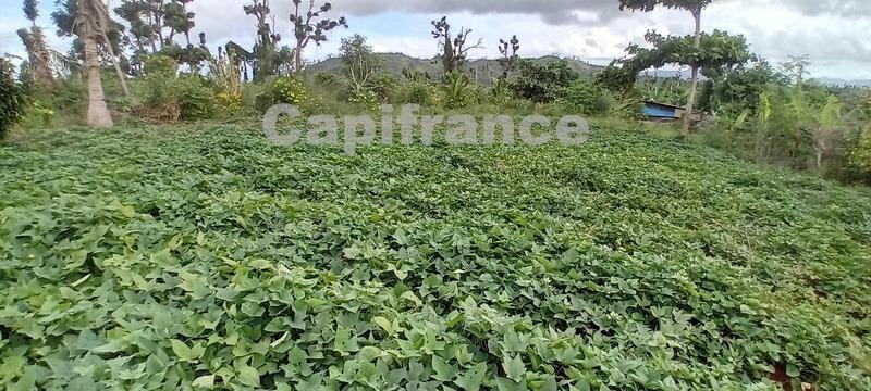 Terrain agricole - 167 518 m²