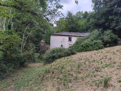 Terrain - 225 742 m²