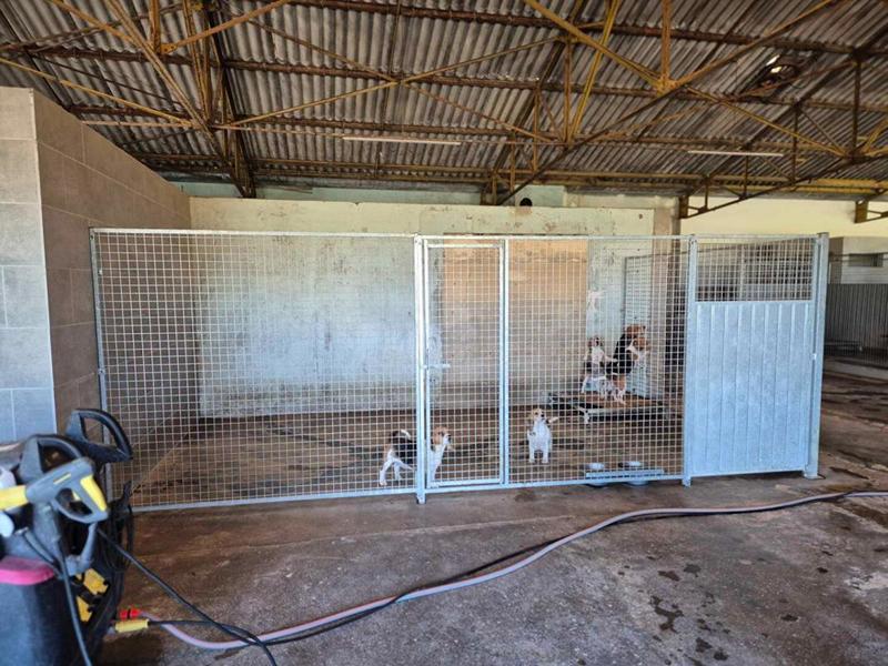 Maison - 250 m² - 6 pièces