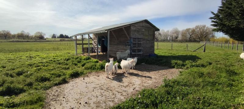 Maison - 220 m² - 9 pièces