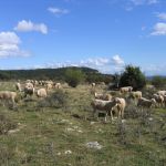 Conservatoire Sites Naturels Bourguignons
