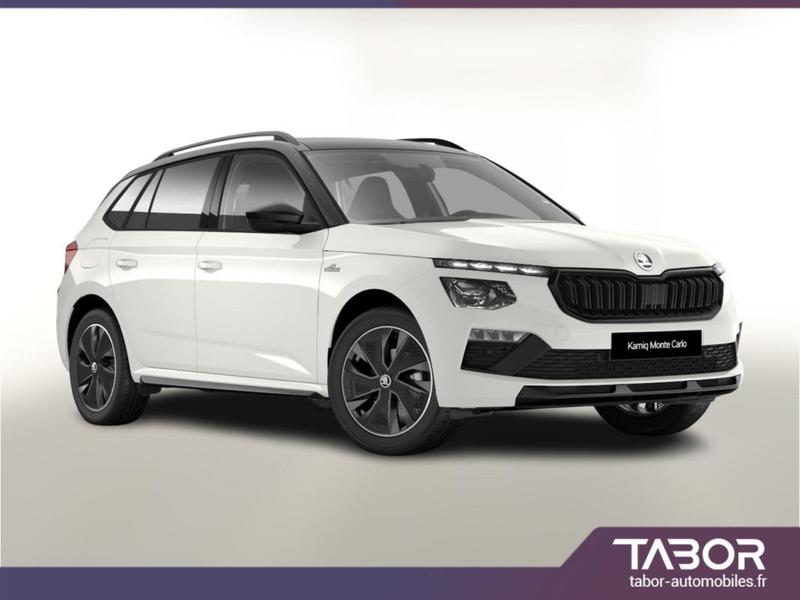 Skoda Kamiq MonteC Pano Matrix Gps Cam Kessy