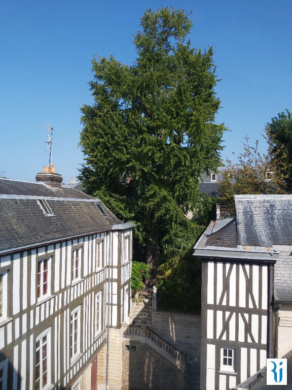 Appartement - 24 m² - 1 pièce