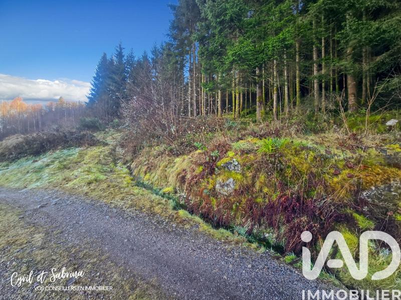 Ferme - 100 m² - 6 pièces