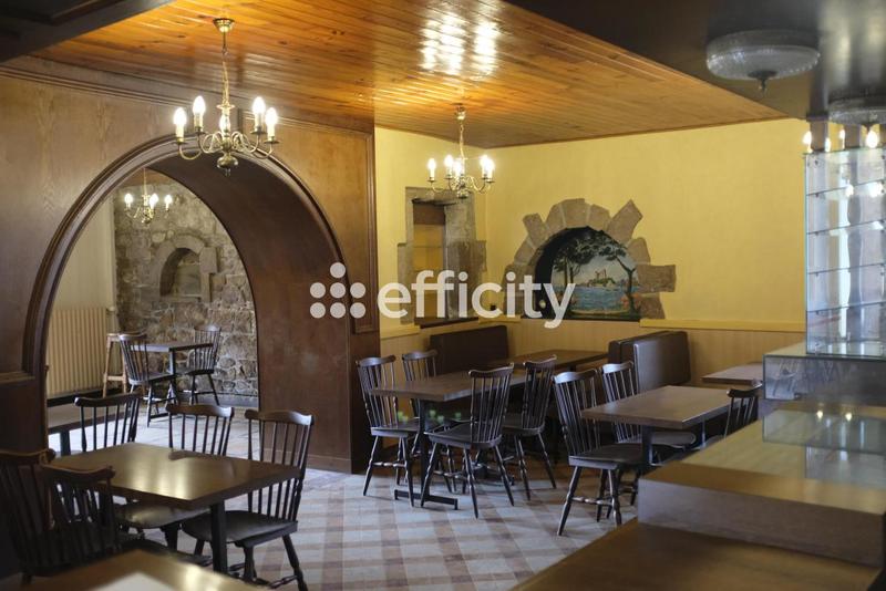 Maison - 316 m² - 10 pièces