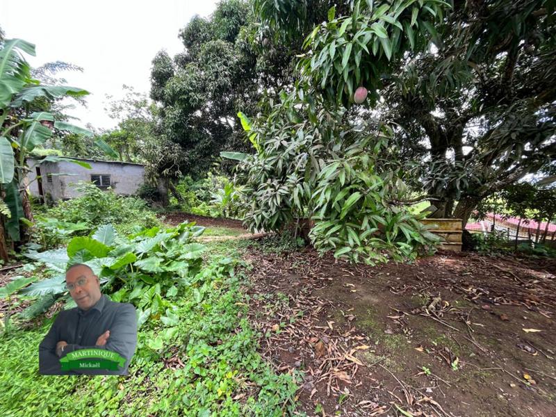 Terrain constructible - 1 480 m²