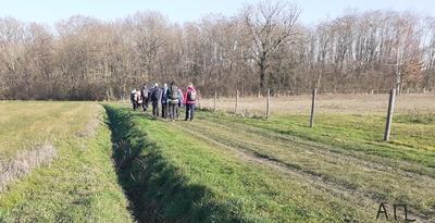 36ème Randonnée pédestre