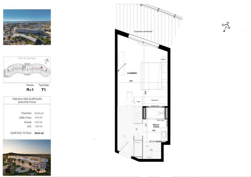 Appartement - 30 m² - 1 pièce