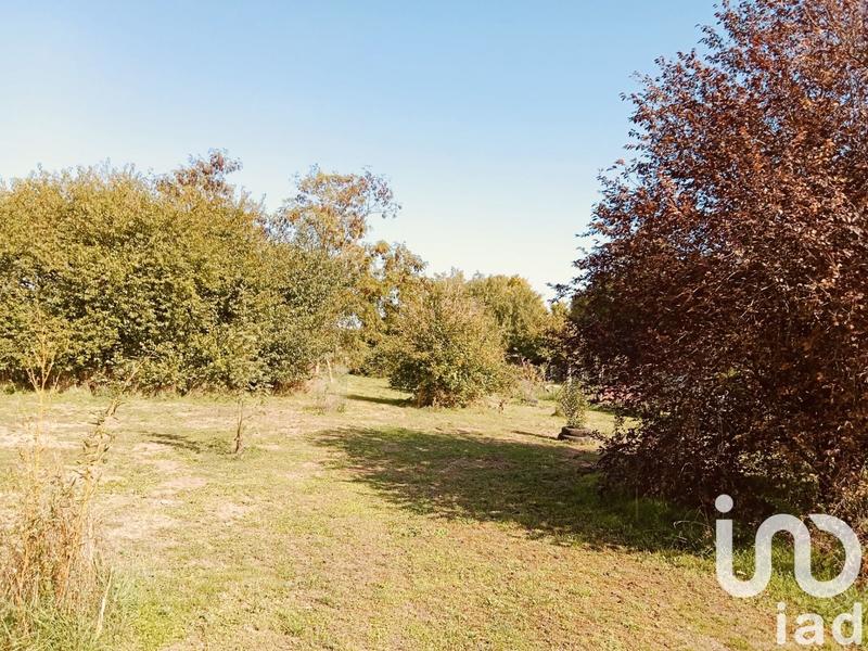 Maison - 244 m² - 9 pièces