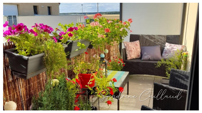 Appartement - 59 m² - 3 pièces