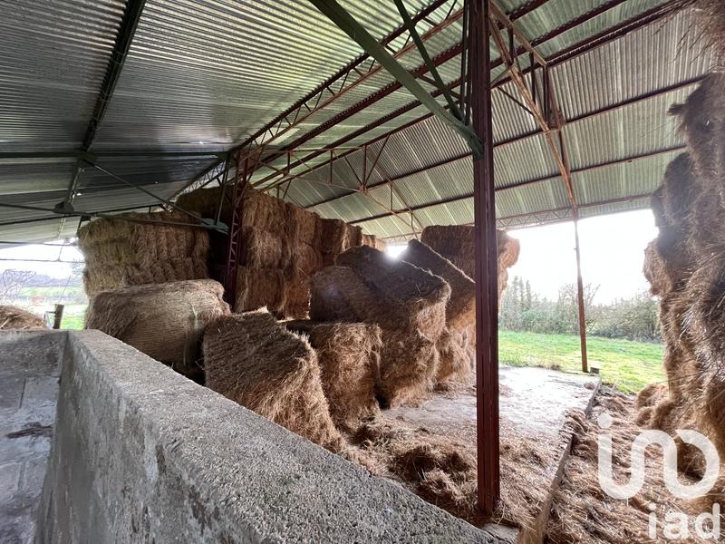 Terrain agricole - 4 190 m²