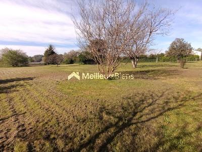 Maison en pierre - 111 m² - 4 pièces