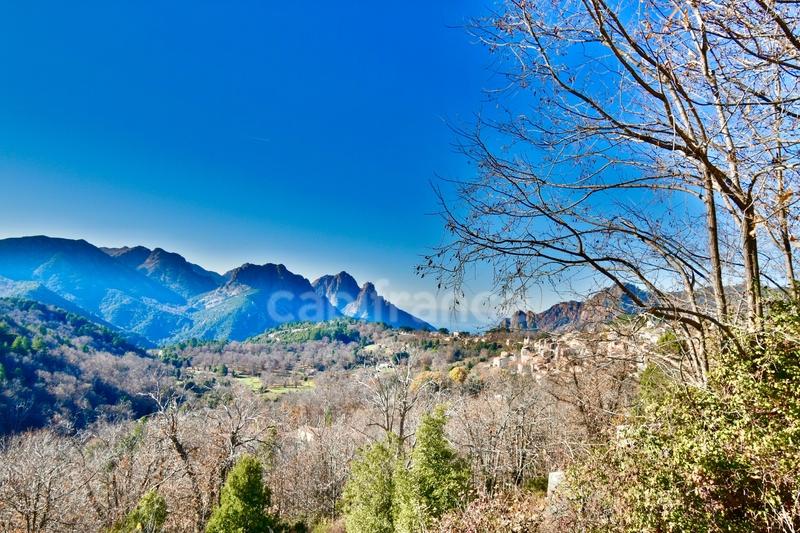 Propriété - 764 m² - 36 pièces