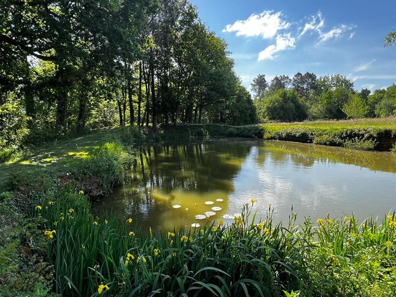 Maison - 173 m² - 5 pièces