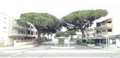 Appartement - 33 m² - 2 pièces