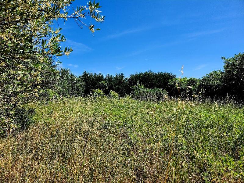 Terrain constructible - 1 490 m²