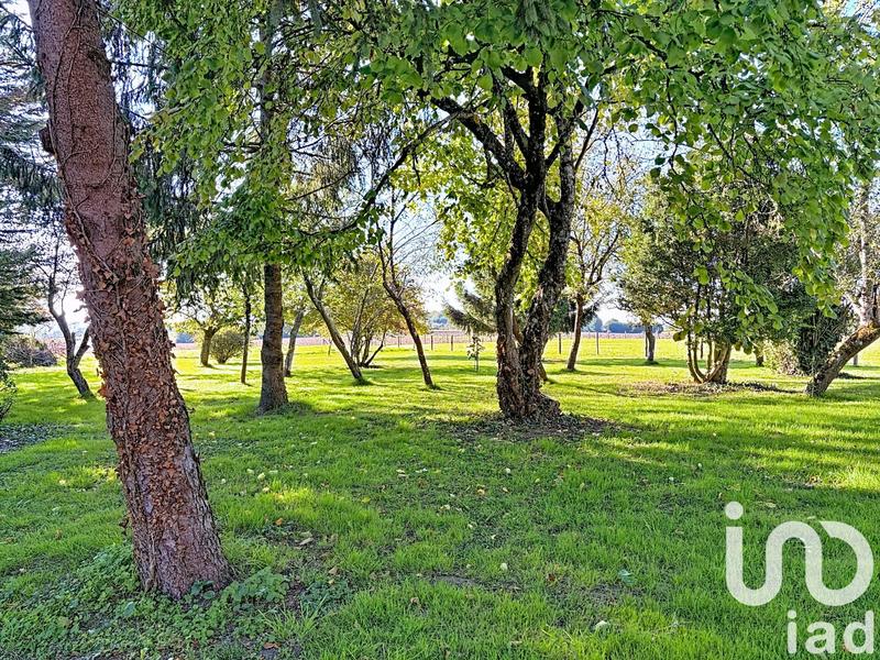 Maison - 113 m² - 5 pièces