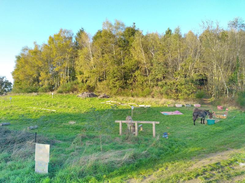 L'Âne Belle Aventure