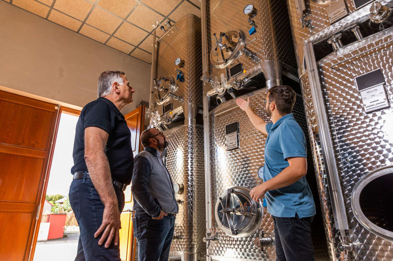 Parenthèse Vigneronne : Initiation à la dégustation