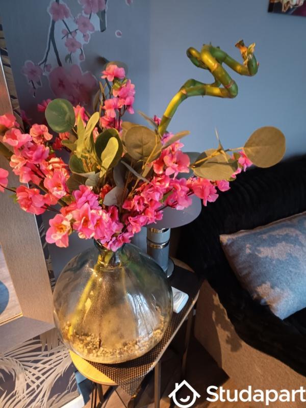 Appartement - 13 m² - 1 pièce